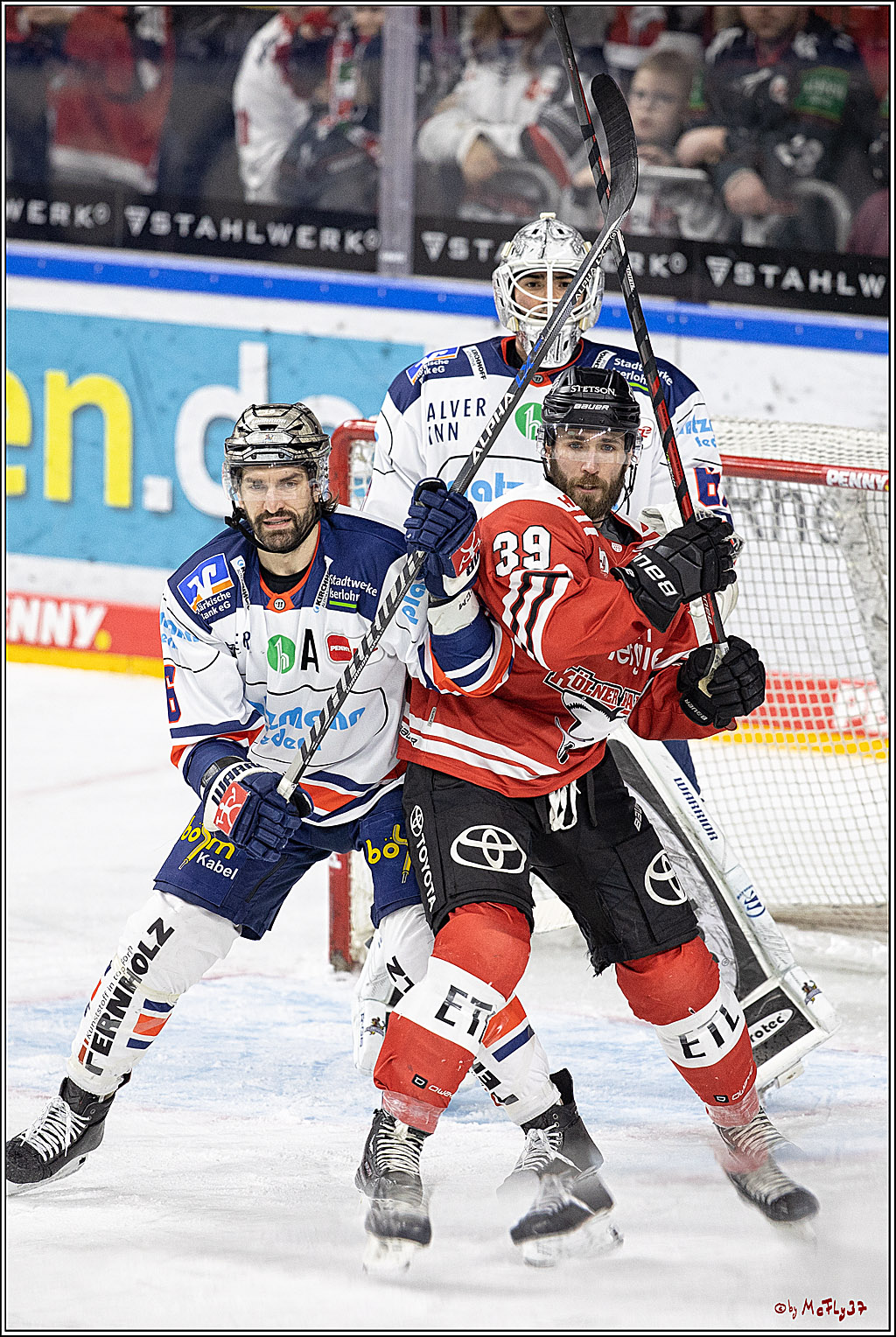 PENNY DEL;  Koelner Haie - Iserlohn Roosters; Koeln, 24.01.2023